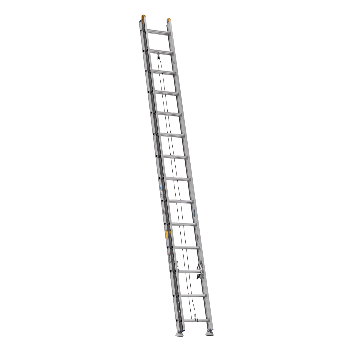 D1328 2 Extension Ladders Werner US