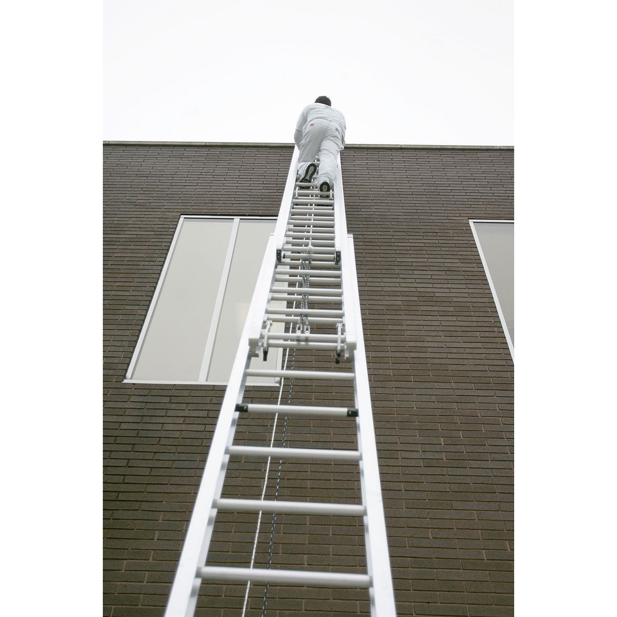560 3 Extension Ladders Werner US