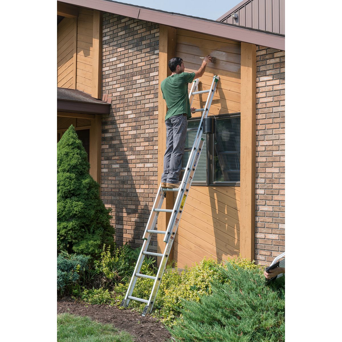 D1216 2 Extension Ladders Werner US