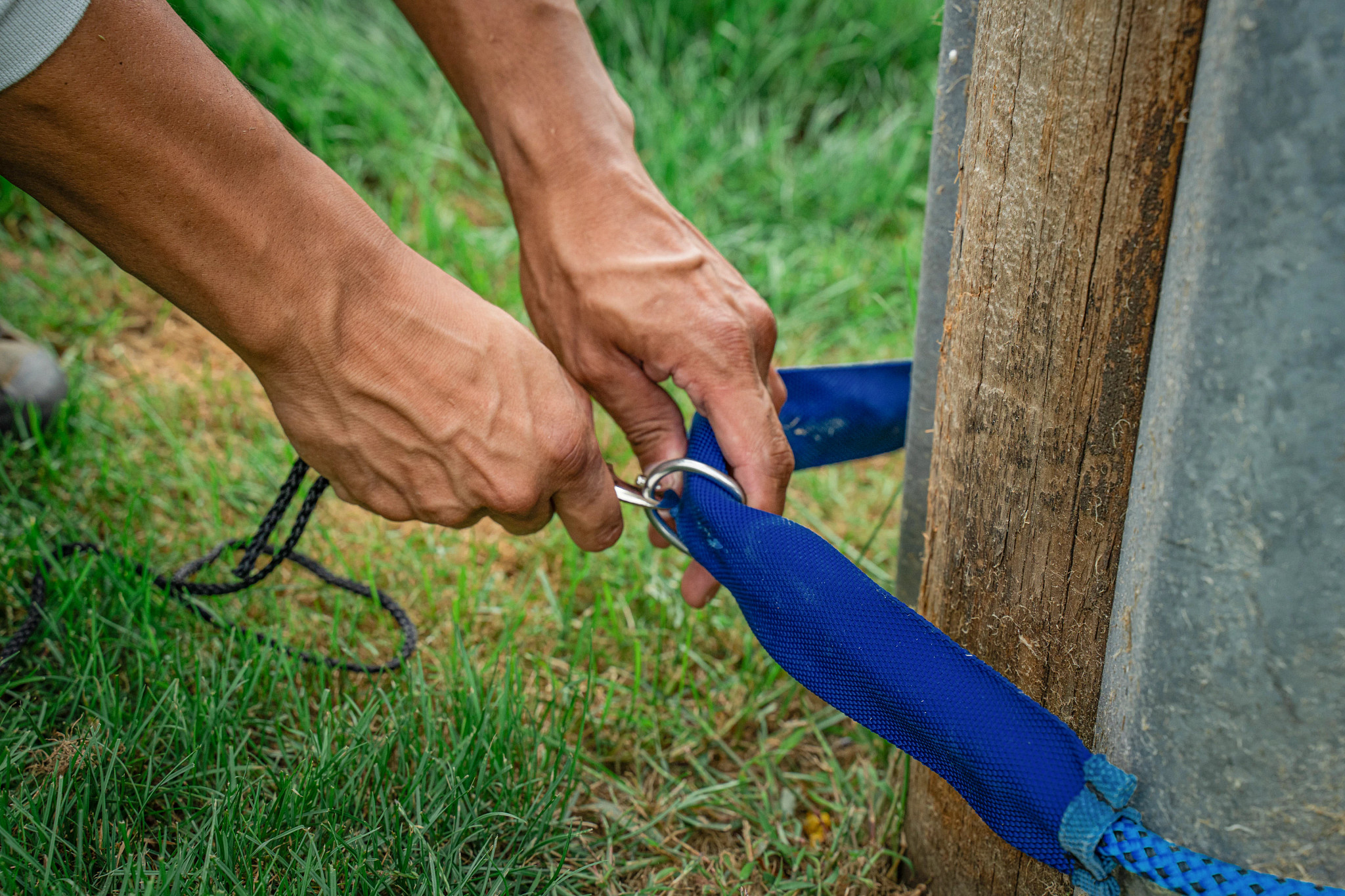 L210240P | Vertical Lifelines | Werner