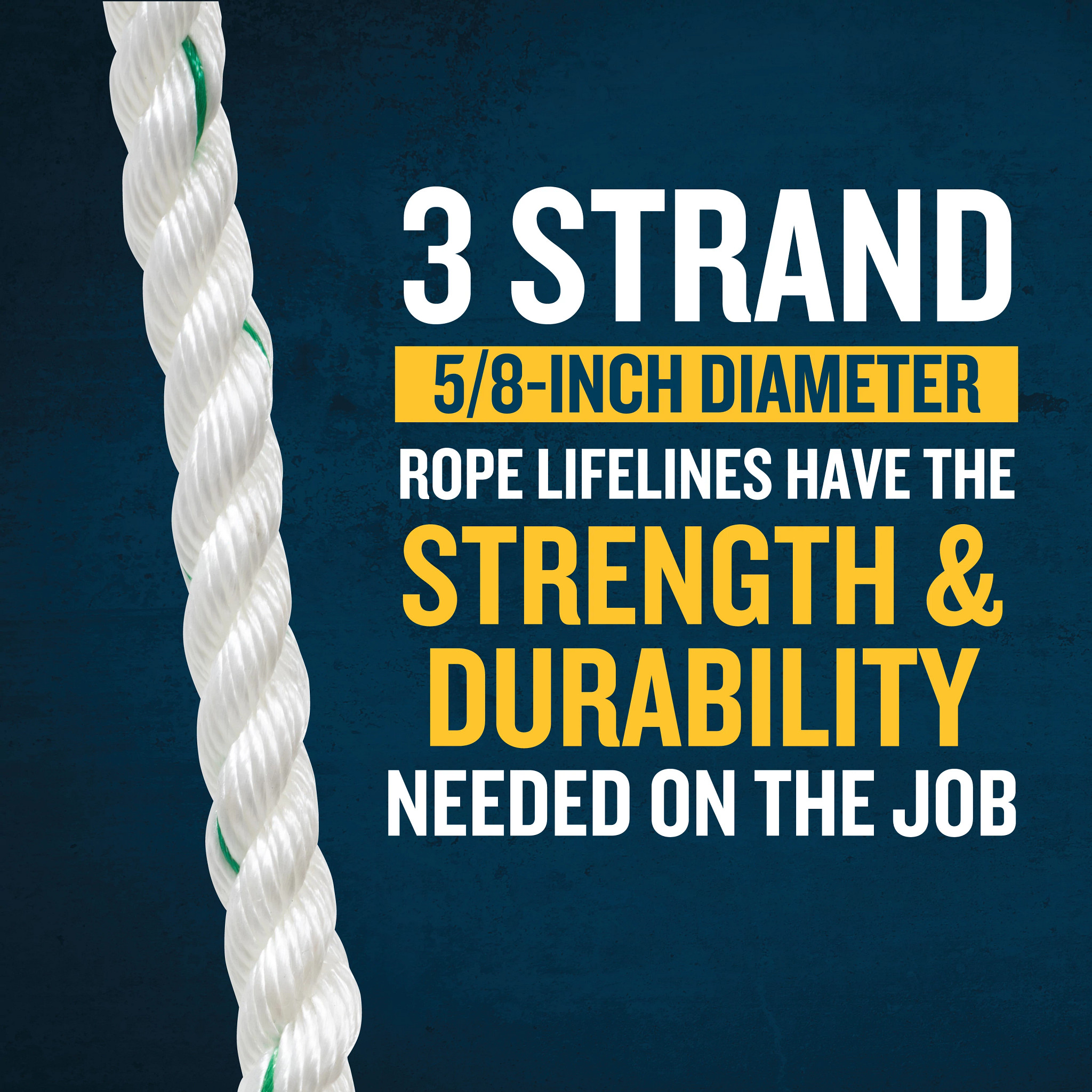 L242050W | Vertical Lifelines | Werner