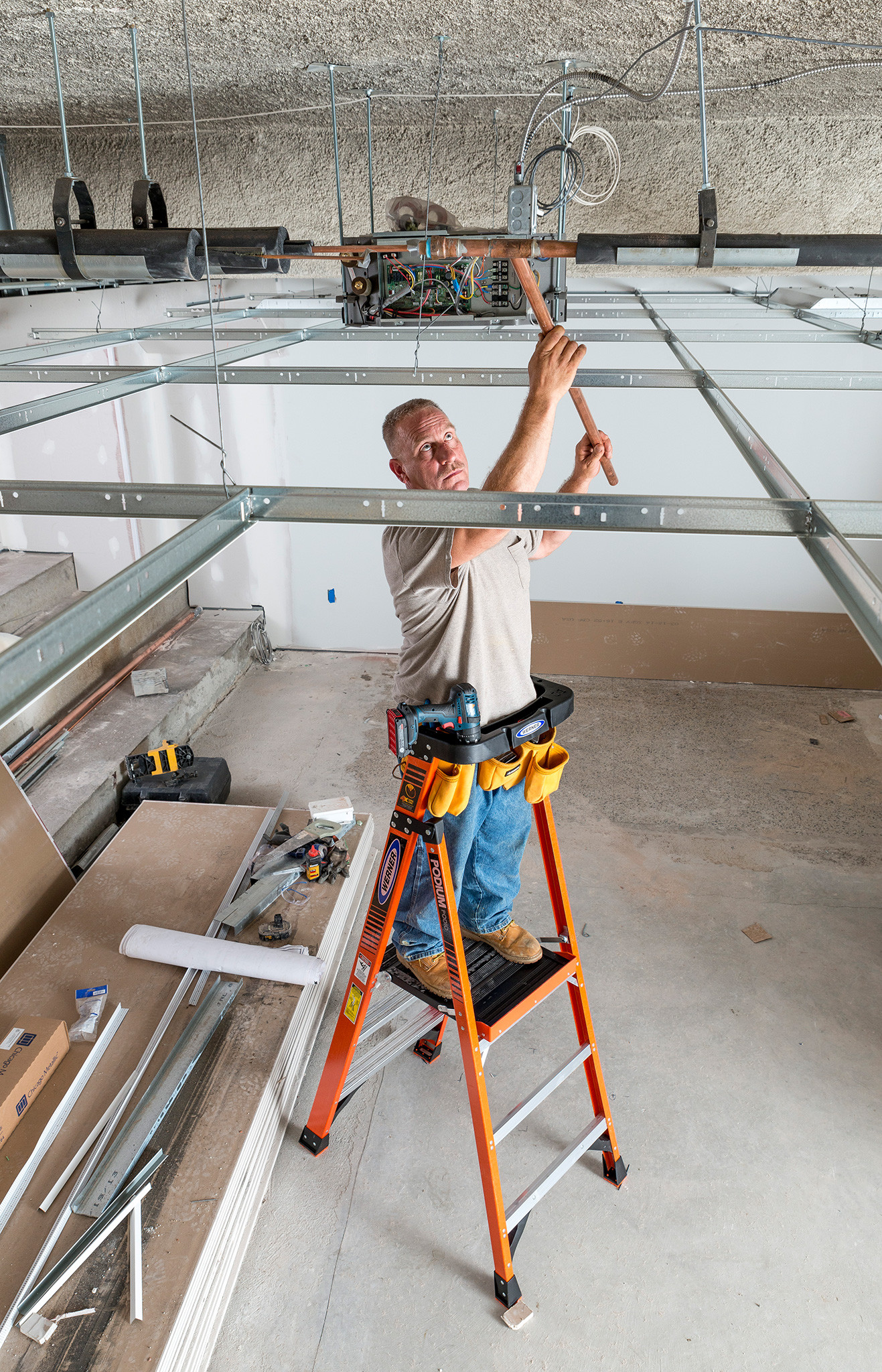 PDIA03 | Step Ladders | Werner