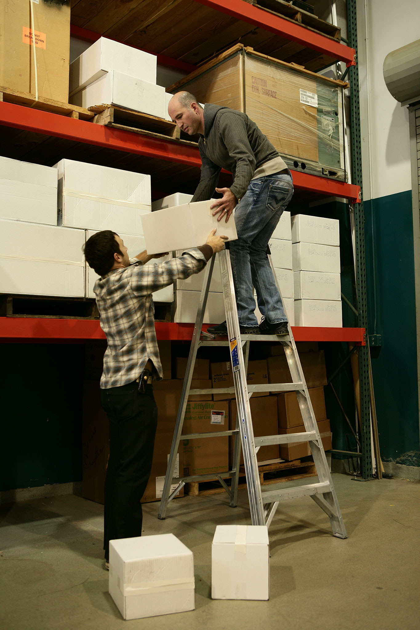 P374 | Step Ladders | Werner